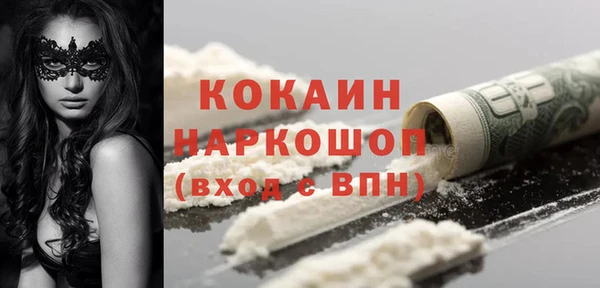 прущие грибы Володарск