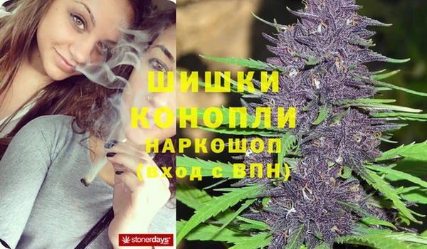 прущие грибы Володарск
