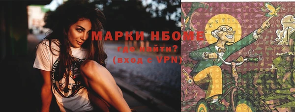 прущие грибы Володарск